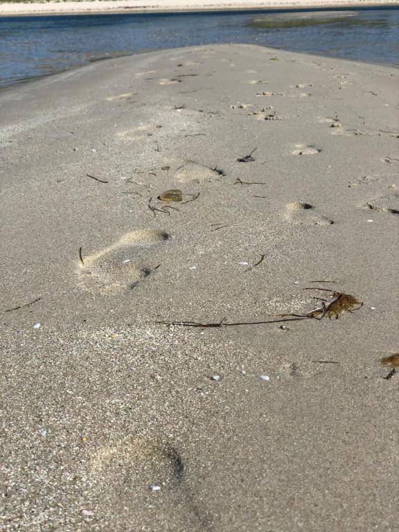 Beach Holiday Apartments