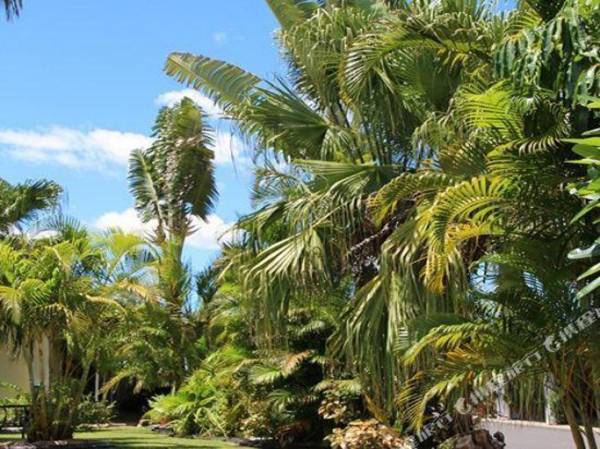 Golden Fountain Motel