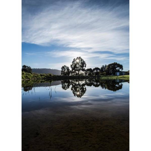 Charles Reuben Estate