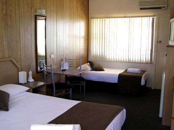 Koala Tree Motel