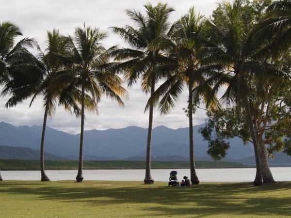 Sea Temple Port Douglas - Swim Outs - Penthouses - King Studios