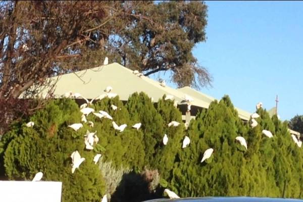 Bright & Beautiful Home on the Hills!