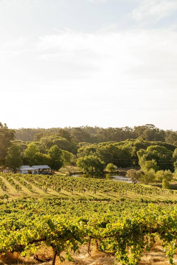 Settlers Cottage at Ampersand Estates Winery