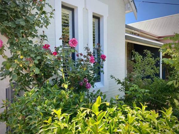 La Mia Casa 159 - CBD - The Entertainer