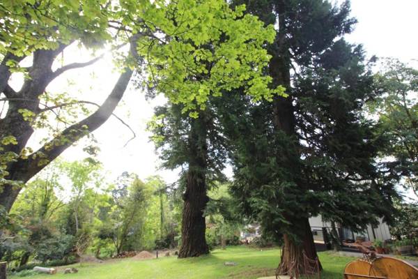 Olinda Country Cottages