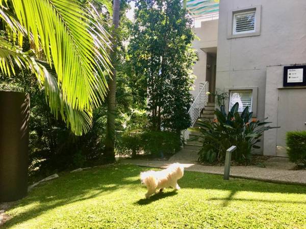 Oasis Rooftop Spa Apartment