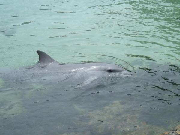 Marcel Towers Holiday Apartments