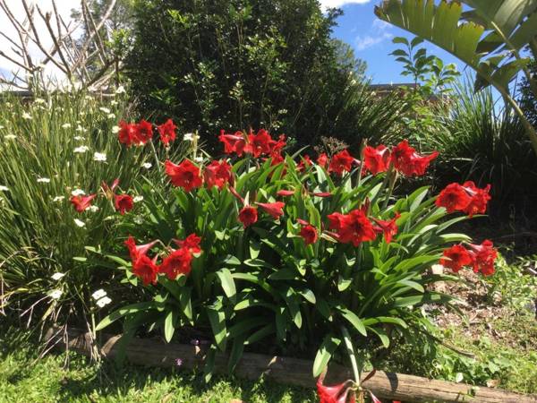 The Croft Bed and Breakfast