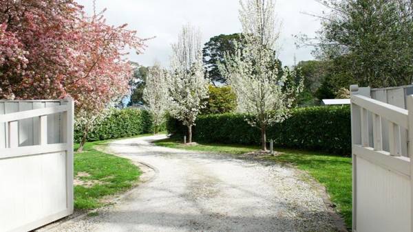 Robin Hill Manor - rambling retreat & tennis court