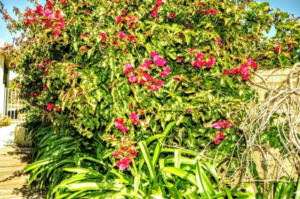 Halls Head Holiday Home