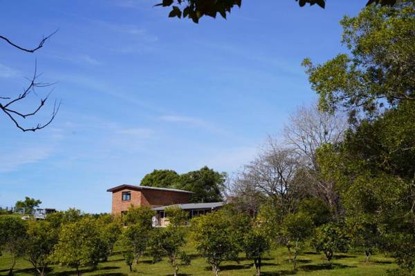 McCarthy Grove Maleny