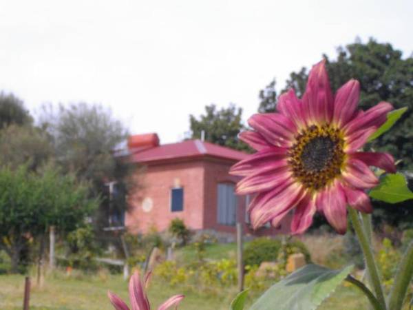 Cherry Top Farmstay - Boutique Eco Village