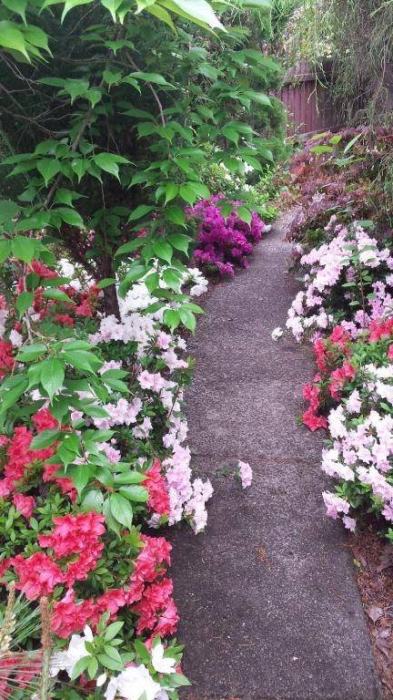 Winston Cottage at Three Sisters