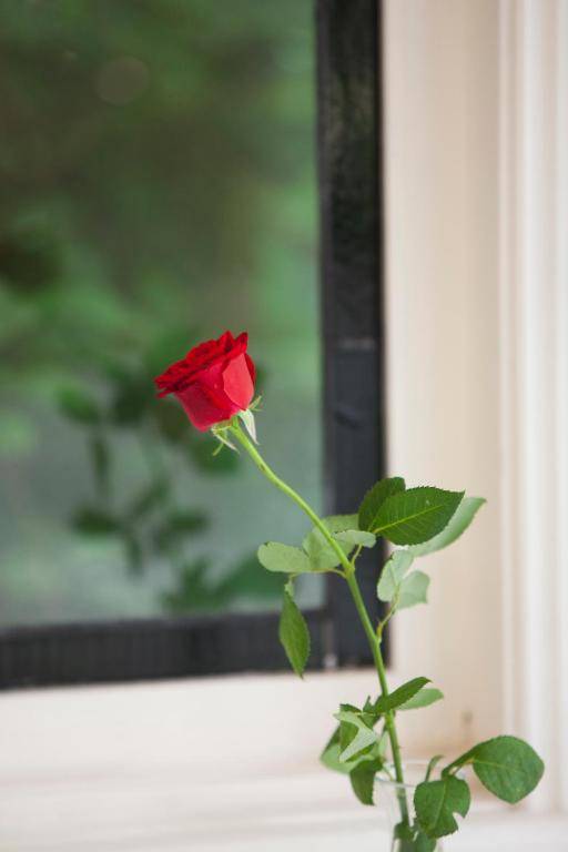 Mountain Whispers Strawberry Patch