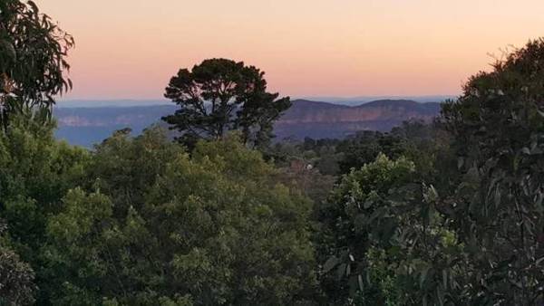 Treetops Retreat Katoomba