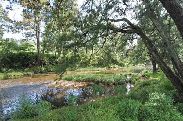 Love Shack - 1 bedroom cosy cottage!