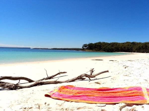 Sail On In Boatshed