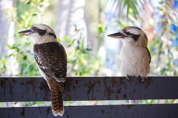Halifax Holiday Park