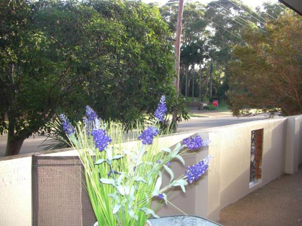 2 'Bronte Court' 17 Magnus Street - air con complex pool and centrally located