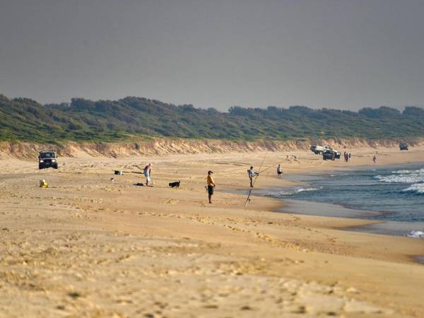 Pet Friendly Beach Home