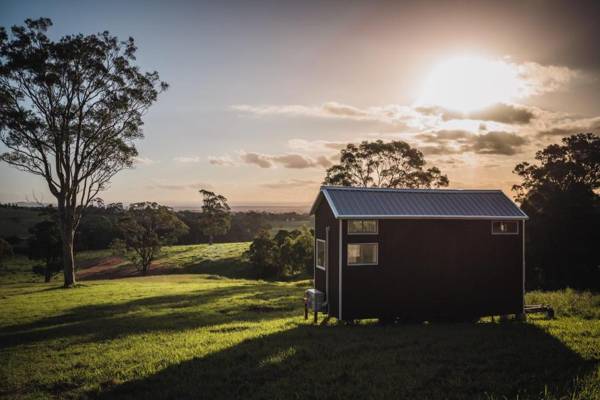Little Magic on Magic Mountain