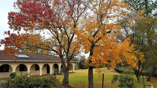 Serendipity On Barrington