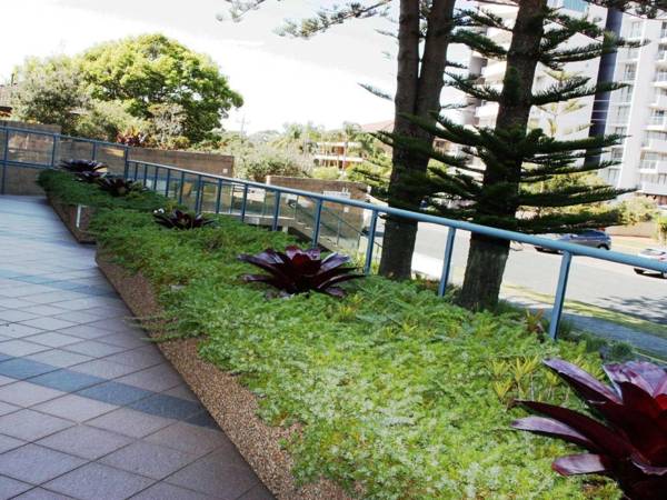 Twin Pines 401 - CBD Location