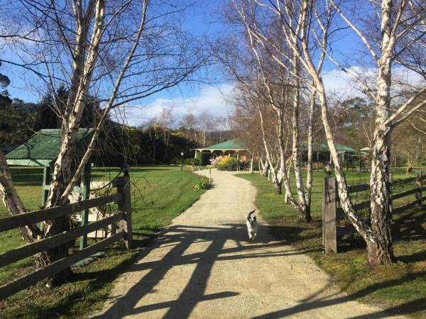 Green Gables B&B Anne loves Paris