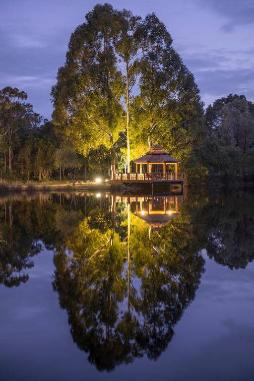 Forest Rise Chalets and Lodge
