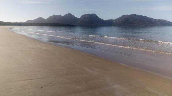 Malting Lagoon Guest House and Brewery