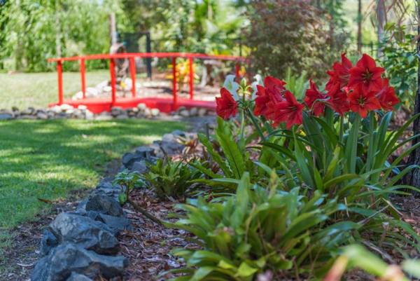 Alarks Nest Bed and Breakfast