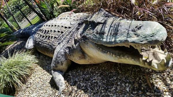 Cairns Gateway Resort