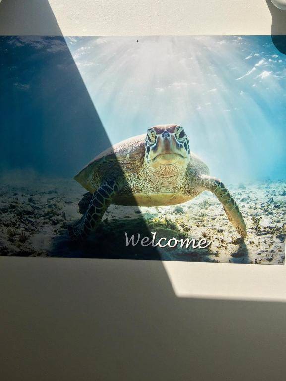 Byron Lakeside Holiday Apartments