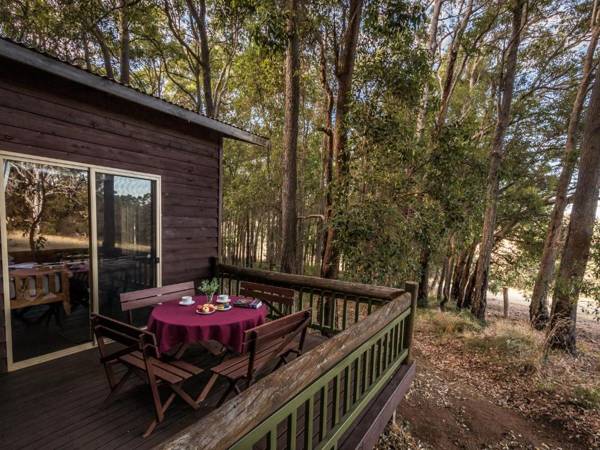 Balingup Heights Hilltop Forest Cottages