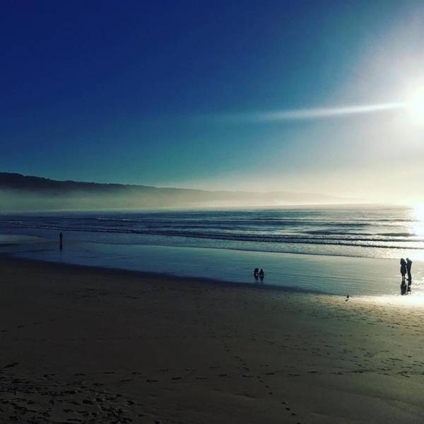 The Dolphin Apartments