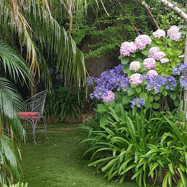 Water Bay Villa Bed & Breakfast