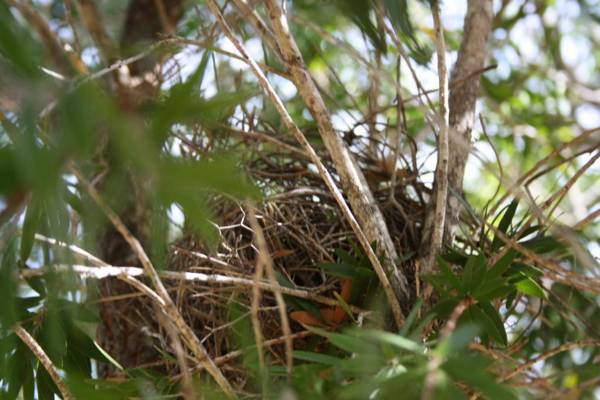 The Heights Bed & Breakfast