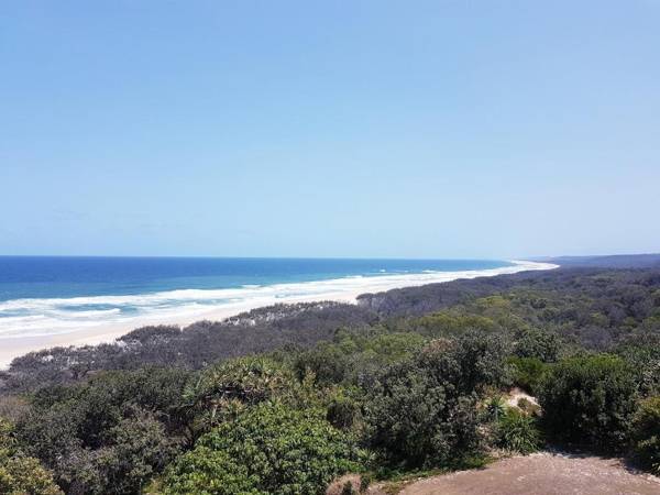 Whale Watch Ocean Beach Resort