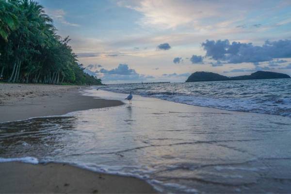 Rare! Modern Unit with Private Fenced garden Close to The Beach PC5