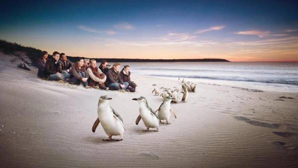 C-Scape water front apartment