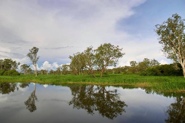 Cooinda Lodge Kakadu