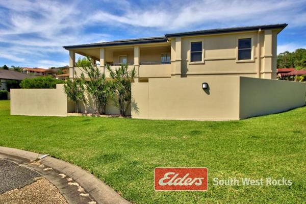 Geckos at South West Rocks