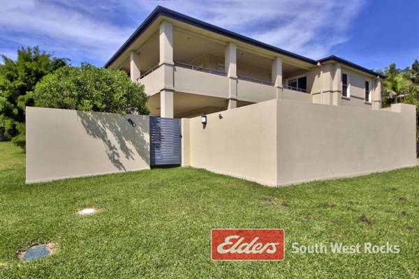 Geckos at South West Rocks