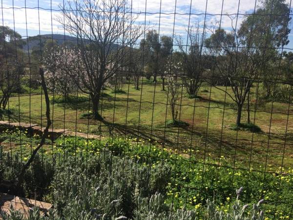 York's Lookout Lodge Bed And Breakfast