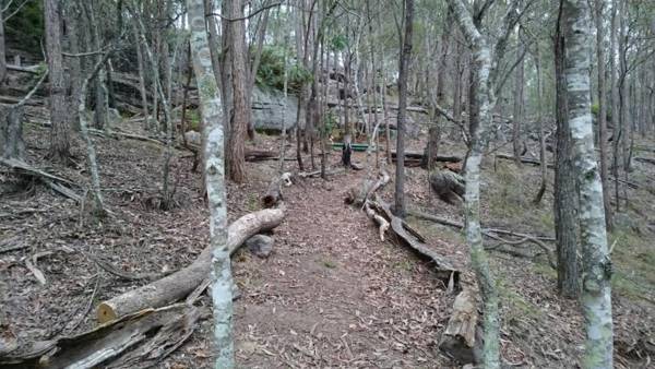 Springwood Meditation Centre 春木禪修渡假中心