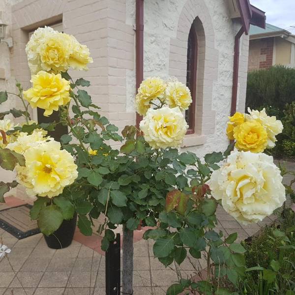 'THE CHURCH' Guest Home Gawler Barossa Region