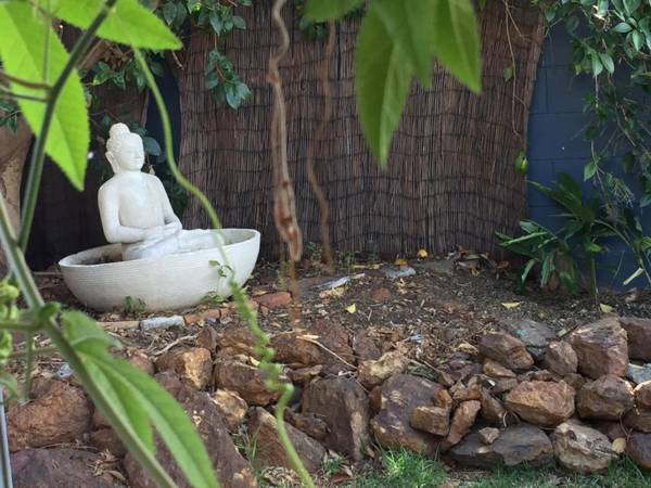 Sydney Executive Garden Apartments