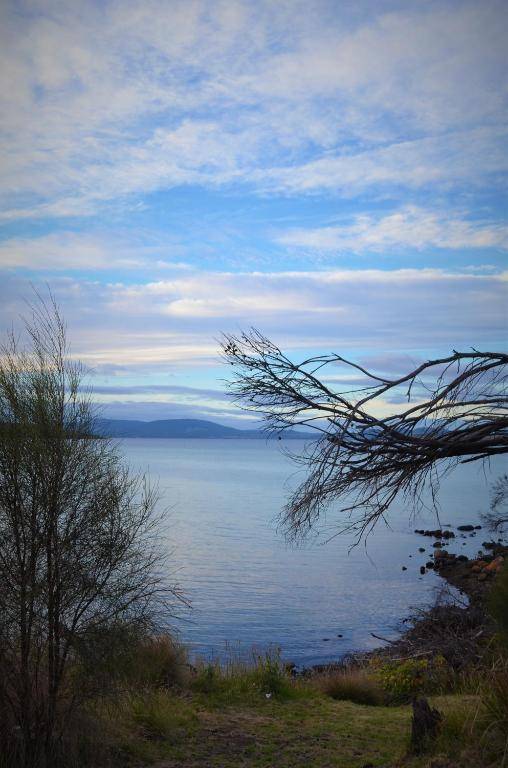 Flotsam Studio Dunalley