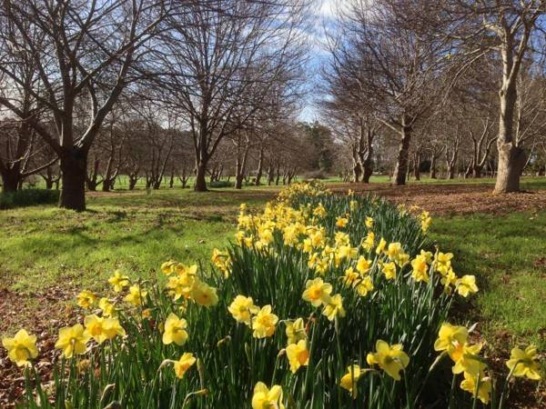 Chestnut Brae Farmstay