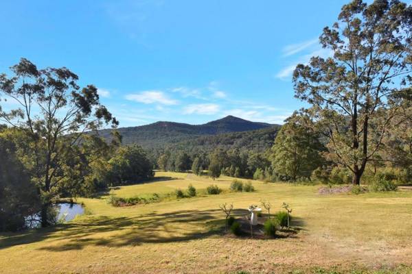 Hunter Valley Kangaroo Retreat with 60 Kangaroos